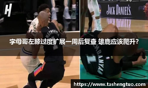 bsport必一官方网站